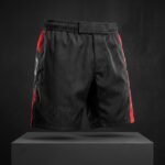 MMA Training Shorts - Image 5